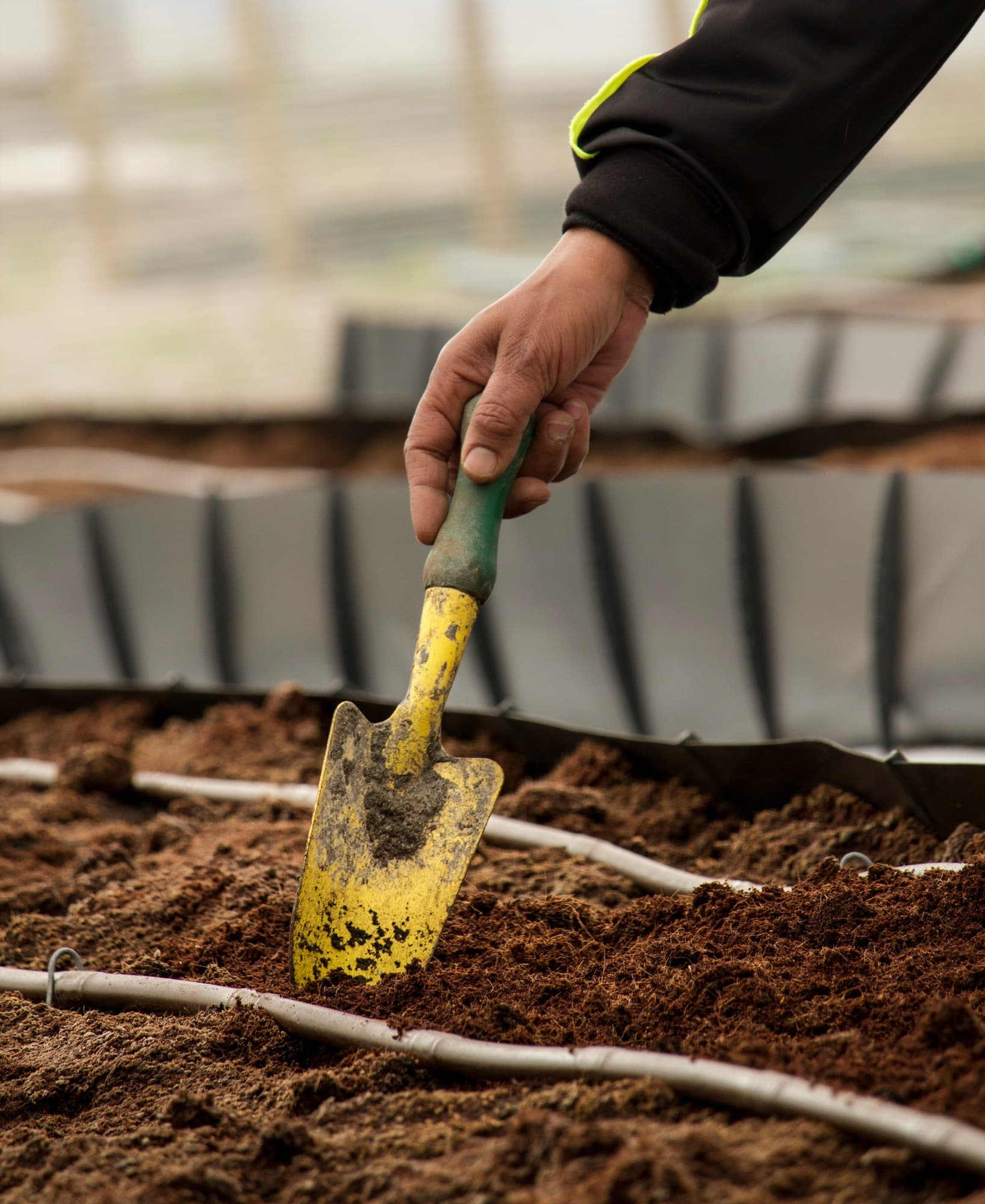 A gloved hand using a trowel to plant seed in rich, prepared soil